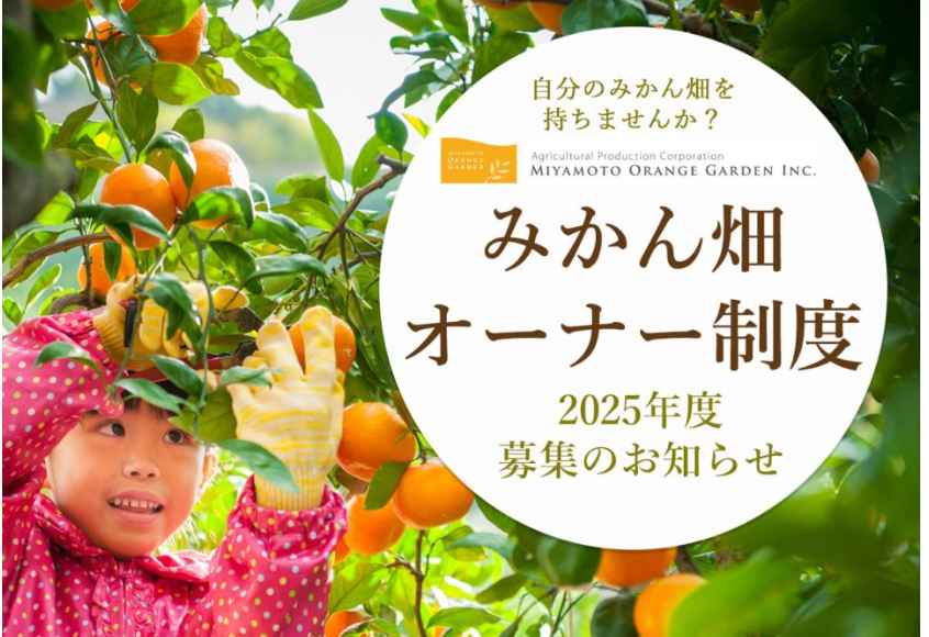 みかん畑-オーナー制度-08-17-2025_11_47_AM