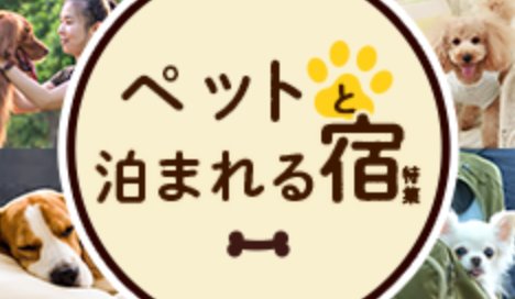 宿-ホテル予約-旅行ならじゃらんnet-10-24-2025_03_14_PM (2)