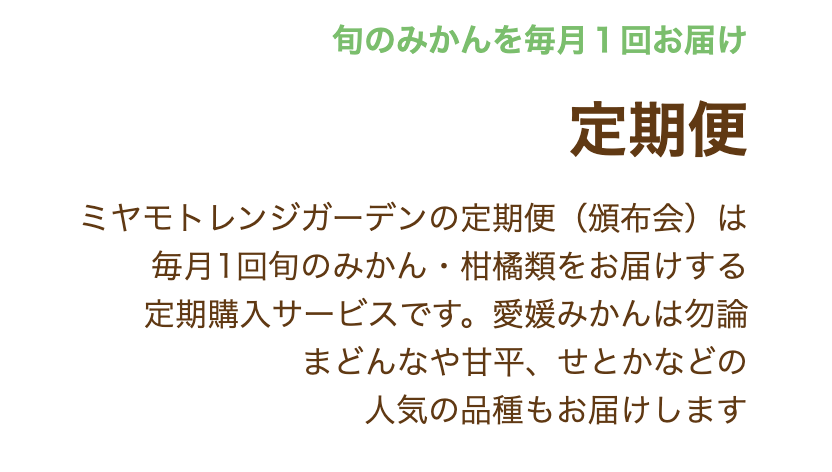 愛媛みかんの通販-お取り寄せ｜甘いみかんならミヤモトオレンジガーデン-08-17-2025_11_46_AM