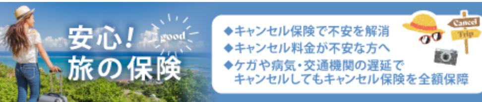 格安航空券モール｜国内線の飛行機チケットやLCC予約-最安値比較サイト-08-10-2025_10_21_PM