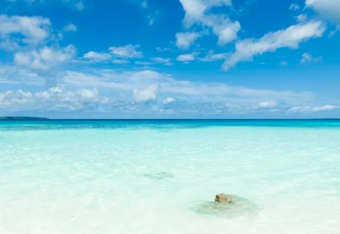 スクリーンショット 2026-01-13 21.39.17