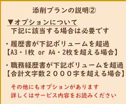 添削プラン-職務経歴書や応募文章をプロが添削します-プロ品質の文章を作成-結果に直結-総販売実績1600件突破-ココナラ-02-22-2026_04_13_PM
