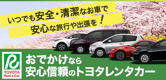格安レンタカー料金比較-予約（乗り捨て可）｜スカイチケットレンタカー-04-06-2026_09_51_AM (2)